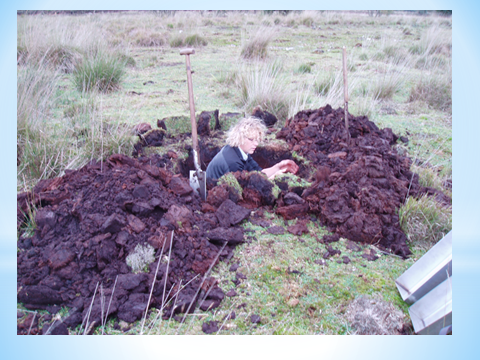 Professor Henk Heijnis in the field